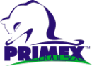 Логотип компании Праймекс-Пенза