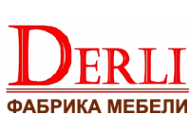Логотип компании Derli
