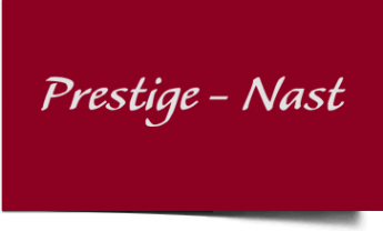 Логотип компании Prestige-Nast