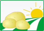 Логотип компании Сурский Картофель